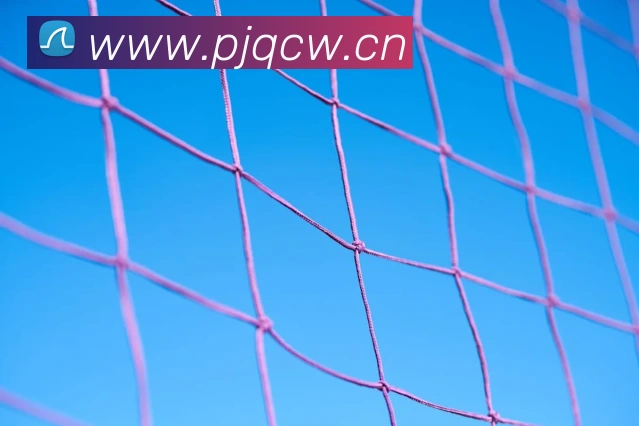 巅峰国际pg登录入口平台生态图