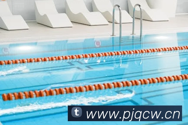 巅峰国际pg登录入口APP 封面图